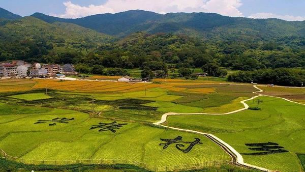 青岛大学干部培训